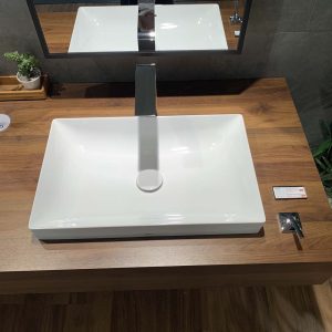 chau lavabo dat ban toto lt4716g17#xw 2